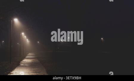 Nächtlicher Nebel verdeckt einen Park, der von leuchtenden Straßenlaternen beleuchtet wird, und schafft eine unheimliche Atmosphäre Stockfoto