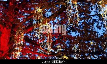 Löwenzahn-förmige Lichter beleuchten Äste vor blauem Himmel und schaffen so eine festliche Szene Stockfoto