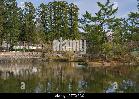 Weite Aussicht auf einen Teich im Nara Park mit hohen Zedern und Kiefern, die sich im ruhigen Wasser spiegeln, Kirschblüten und einer kleinen Schreininsel, die im Frühjahr sichtbar ist Stockfoto