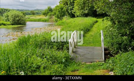 Kleine Holzbrücke, die über einen Bach durch lebhafte grüne Vegetation und einen Seerosenteich führt Stockfoto