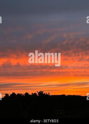 Dramatischer orangefarbener Sonnenuntergangshimmel mit leuchtenden Wolken über einer dunklen Silhouette von Bäumen. Lebhafte Abendatmosphäre, ideal für Natur, Wetter, Reisen und bac Stockfoto