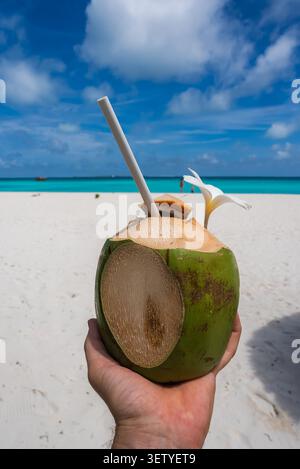 Coco Palm Maledives Kokosnuss mit Frangipani am weißen Sandstrand Stockfoto