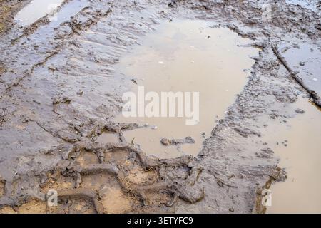 Eine große Schlammpfütze mit Traktorreifen liegt auf einer ländlichen Feldstraße durch Wald und Wiesen zu einem Bauernhof nach Regen. Windung nasser Tonweg mit Wasser Stockfoto