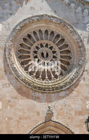 Rosenfenster, Kathedrale Ostuni, Duomo di Ostuni, Basilika concattedrale di Santa Maria Assunta, Ostuni, Region Apulien, Italien, Europa Stockfoto