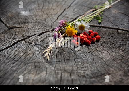 Oberansicht von Walderdbeeren und Wiesenblumen auf einem rissigen alten Baumstumpf Stockfoto