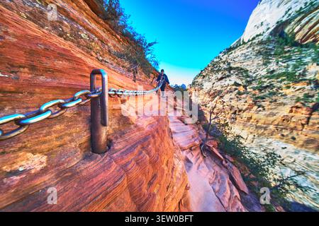Angels Landing Chain Section Adventure Wanderer Auf Dem Narrow Trail Im Zion National Park Stockfoto