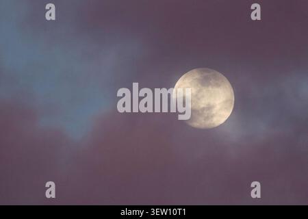 Ein Vollmond inmitten violetter Wolken am Nachthimmel. Stockfoto