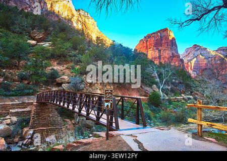 Brücke und Trail führt zu Red Rock Cliffs and Forest im Utah Zion National Park Stockfoto