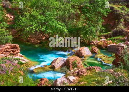 Der türkisfarbene Creek fließt über Felsen mit üppigen grünen Bäumen und den Wänden des Red Canyon Stockfoto