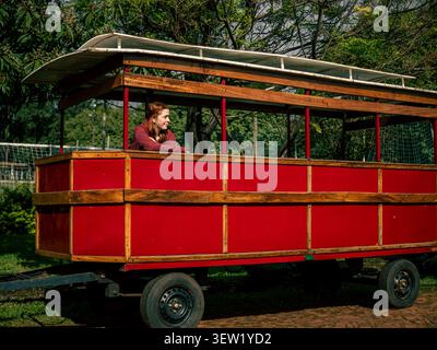 Roter Holzwagen mit überdachtem Dach liegt auf unbefestigtem Boden. Eine Frau in einem kastanienbraunen Oberteil lehnt sich auf das Geländer. Sie sieht ruhig und neugierig aus. Bäume und grüne Fichte Stockfoto