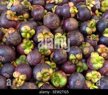 Voller Rahmen mit frischen lila Mangostan-Früchten Hintergrund Stockfoto