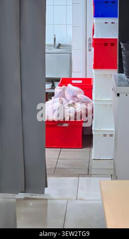 Rohe putenschlachtkörper in Kunststoffbehältern in einer lebensmittelverarbeitenden Anlage. Zubereitung von Fleischprodukten für die Verarbeitung, Lagerung oder den Transport. Stockfoto