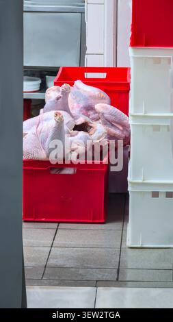 Rohe putenschlachtkörper in Kunststoffbehältern in einer lebensmittelverarbeitenden Anlage. Zubereitung von Fleischprodukten für die Verarbeitung, Lagerung oder den Transport. Stockfoto