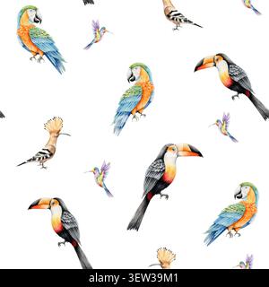Nahtloses Muster mit tropischen Vögeln. Handgezeichneter Kolibri, Papageienara, toco Tucan, Wiedehopf. Isolierte Abbildung auf Transparent Stockfoto