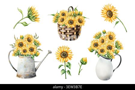 Aquarellstrauß mit hellgelben Sonnenblumen. Blumen in metallischer Gießkanne, Porzellankanne, Korbkorb. Botanische handgezeichnete Blumen in Stockfoto