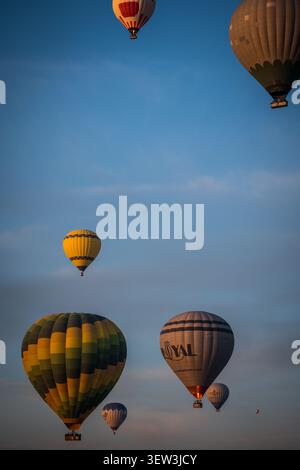 Mehrere Heißluftballons in verschiedenen Farben und Designs steigen gegen einen klaren blauen Himmel auf, einige davon beleuchtet durch warmes Licht der aufgehenden Sonne. Dieses Symbol Stockfoto