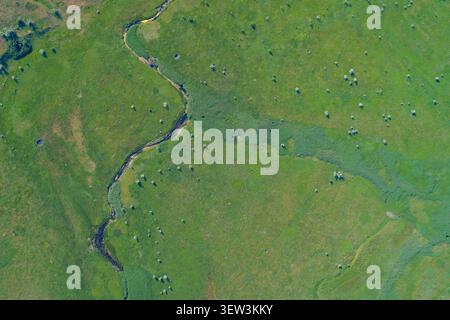 Ein sich schlängelnder, schmaler Fluss durchquert ein riesiges, lebendiges, grünes Wiesenfeld mit verstreuten kleinen Bäumen, das aus einer Höhenperspektive ein friedliches, wildes Ökosystem zeigt. Stockfoto
