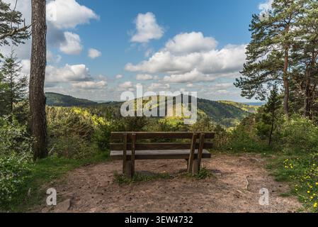 Rustikale Holzbank mit Panoramablick über die bewaldeten Hügel des Pfälzerwaldes, Rheinland-Pfalz, Deutschland Stockfoto