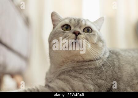 Foto Stockfoto