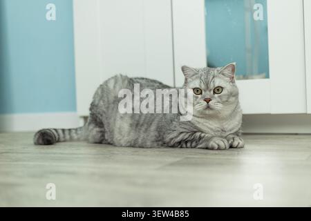Foto Stockfoto