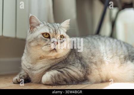 Foto Stockfoto