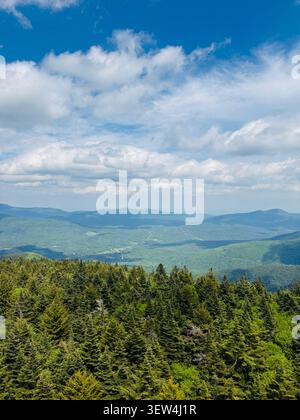 Blick von der Spitze der Stufen des Hunter Mountain Fire Tower. Atemberaubender, weitläufiger Blick auf die Berge, die Region, den Bundesstaat New York und darüber hinaus. Stockfoto