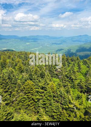 Blick von der Spitze der Stufen des Hunter Mountain Fire Tower. Atemberaubender, weitläufiger Blick auf die Berge, die Region, den Bundesstaat New York und darüber hinaus. Stockfoto