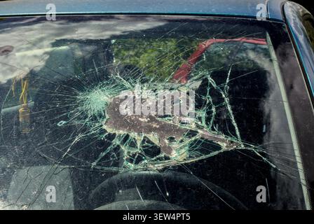 Stark zertrümmerte Windschutzscheibe mit einem großen Loch, einem Aufprallpunkt und umfangreichen Spinnennetzen, die die Glasoberfläche bedecken. Stockfoto