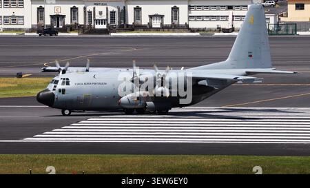 Die portugiesische Luftwaffe C-130H Hercules fährt auf der Flugbasis Lajes, Azoren, Portugal Stockfoto