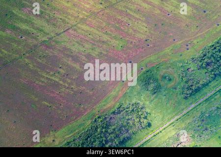 Verwüstete ländliche Landschaft mit starker Bodendegradation, Bombengranatkrater und getrockneten rosafarbenen Feldstrukturen aufgrund militärischer Konflikte oder Klimaänderungen. Stockfoto