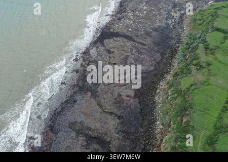 Blick über der Drohne auf eine breite, dunkle, vulkanische Felsküste bei Ebbe, mit weißen Meereswellen, die von links hereinströmen, und einer grünen, grasbewachsenen Klippe Stockfoto