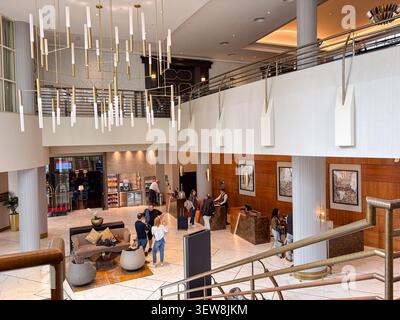 Gäste, die an der Rezeption des Hilton Belfast in Belfast, Nordirland, einchecken, mit einem modernen Atrium und Hängeleuchten. Stockfoto