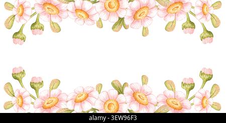 Rosafarbene Gänseblümchen mit grünen Blättern und Knospen auf Bannerrahmen, Aquarell isoliert vom Hintergrund. Leere Mitte für Text. Für Grußkarten, Einladungen, Stockfoto