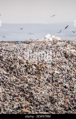 Riesige Deponie, die mit Hausmüll bedeckt ist, während Vögel über der Müllhalde kreisen. Redaktionelles Bild zur Darstellung von Plastikverschmutzung, überlaufendem Land Stockfoto
