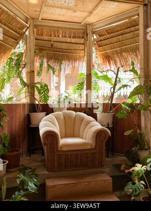 Gemütliche Lounge-Ecke im tropischen Stil mit einem Korbsessel, umgeben von üppigen Innenpflanzen und warmem Tageslicht. Stockfoto