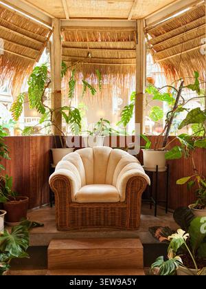 Gemütliche Lounge-Ecke im tropischen Stil mit einem Korbsessel, umgeben von üppigen Innenpflanzen und warmem Tageslicht. Stockfoto