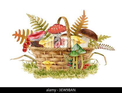 Aquarellkorb gefüllt mit Waldpilzen, Beeren, Moos und Herbstlaub isoliert auf weißem Hintergrund. Handgemalte Waldillustration. Stockfoto