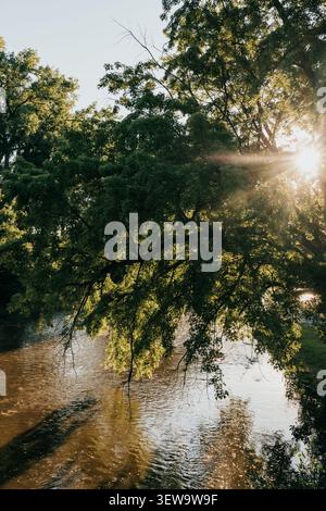 Goldenes Sonnenlicht scheint an einem Sommermorgen durch einen Baum über einem Fluss Stockfoto