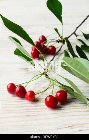Kirschzweige mit hellroten Früchten und grünen Blättern auf hellem Holzhintergrund. Natürliche Textur und saftige Beeren sorgen für eine frische Sommerstimmung Stockfoto