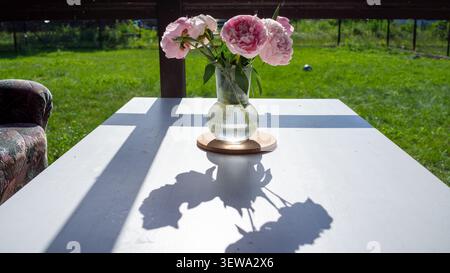 Rosa Blumen arrangiert in einer klaren gerippten Vase auf weißem Tisch im Freien, mit hellem Sonnenlicht, das weiche Schatten auf die Oberfläche wirft, und lebhaftem grünem Gartenhintergrund für eine ruhige dekorative Frühlingsstimmung Stockfoto