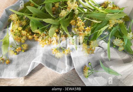 Lindenblüten und grüne Blätter auf einer weiß-grau karierten Serviette für pflanzliche Heilmittel Stockfoto