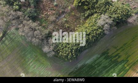 Aus der Vogelperspektive grüne landwirtschaftliche Felder und dichte Vegetation, die an eine ländliche Landschaft in Portugal grenzt. Stockfoto