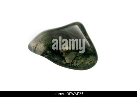 Geschliffener Moosachat-Stein mit dunkelgrünen dendritischen Einschlüssen auf weißem Hintergrund. Stockfoto