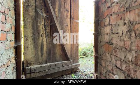 Eine alte, verwitterte Holztür ist leicht zugänglich und zeigt helles Licht und grünes Laub draußen, eingerahmt von rauen Ziegelwänden mit Spinnweben. Stockfoto