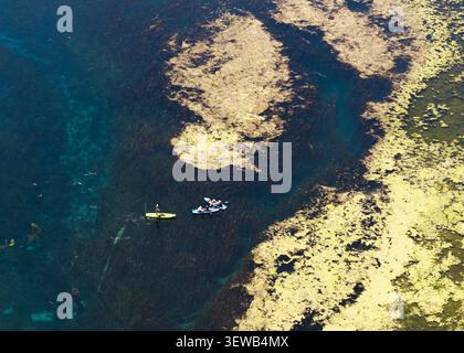 Blick aus der Vogelperspektive auf die Blue Eye-Quelle mit lebendigem türkisfarbenem Wasser, dichter aquatischer Vegetation und Personen, die auf Kajaks und Paddleboards in Finiq, VL, paddeln Stockfoto