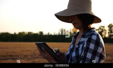Agrostomistin im Strohhut, die die Ernte auf dem Gerstenfeld bei Sonnenuntergang überwacht. Erwachsener Landwirt mit digitaler Tablette auf Weizenwiese in der Abenddämmerung. Schön Stockfoto