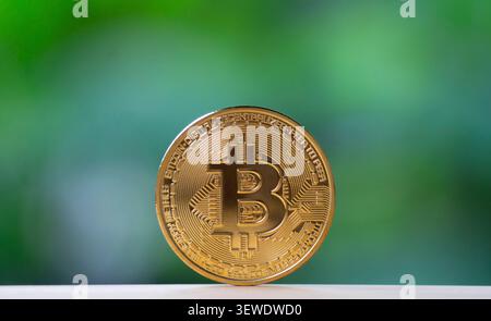 Goldene Bitcoin-Münze auf grünem Hintergrund für Kryptowährungskonzept Stockfoto