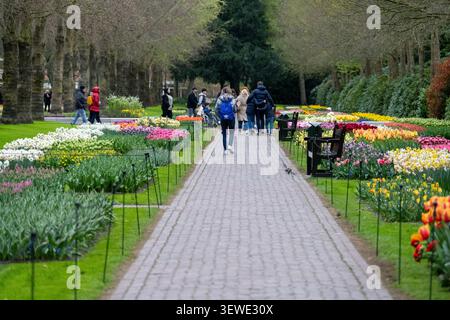 Zentraler Fußweg mit Besuchern umgeben von farbenfrohen Frühlingsblumenbeeten in den Gärten von Keukenhof, Lisse, Süd-Holland, Niederlande. Stockfoto