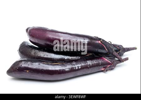 Frische Auberginen isoliert auf weißem Hintergrund Stockfoto