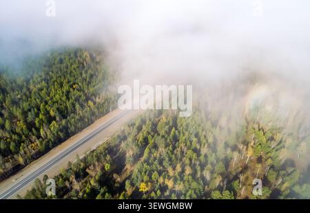 Von oben nach unten erhebt sich ein Blick auf eine kurvenreiche Straße durch einen dichten Wald, der teilweise von weichem Morgennebel verdeckt ist. Stockfoto